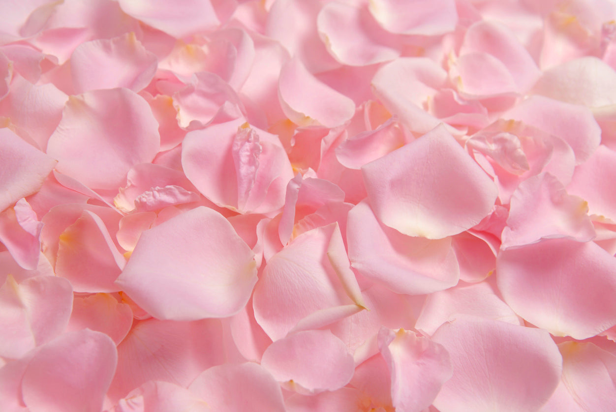 The Sweet History and Benefits of Rose Water
